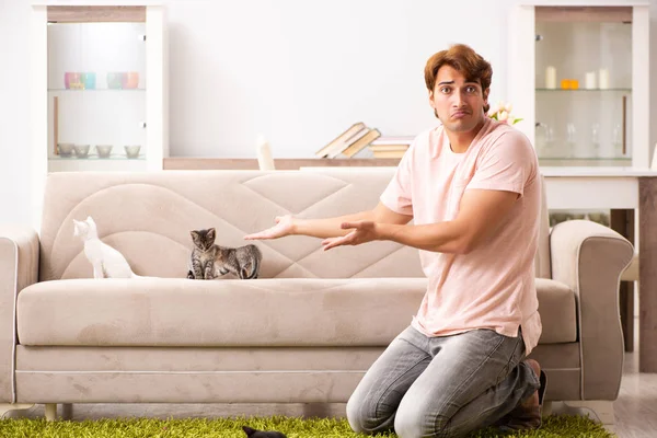 Genç adam evde kedi yavrusuyla oynuyor. — Stok fotoğraf