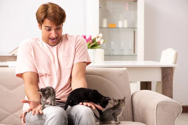 Joven jugando con gatito en casa —  Fotos de Stock