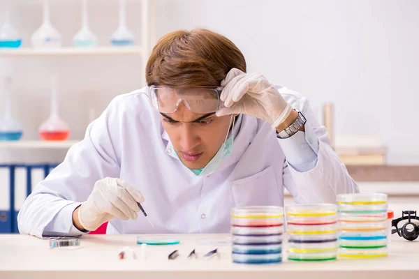 Young chemist working in the lab — Stock Photo, Image