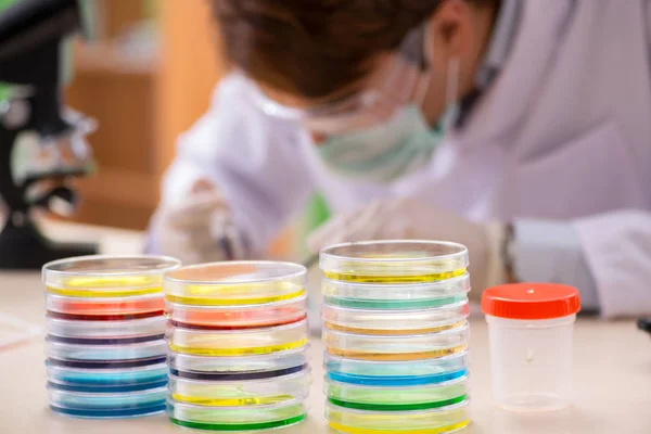 Joven químico trabajando en el laboratorio — Foto de Stock