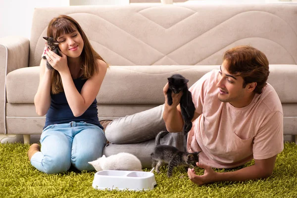 Família jovem com gatinho brincando em casa — Fotografia de Stock