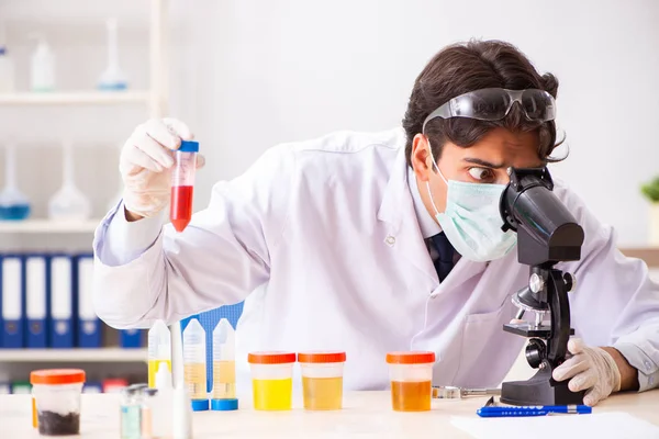 Jovem e bonito químico que trabalha no laboratório — Fotografia de Stock