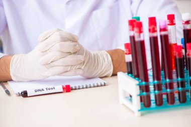 Genç yakışıklı laboratuvar asistanı hastanede kan örnekleri test ediyor. 