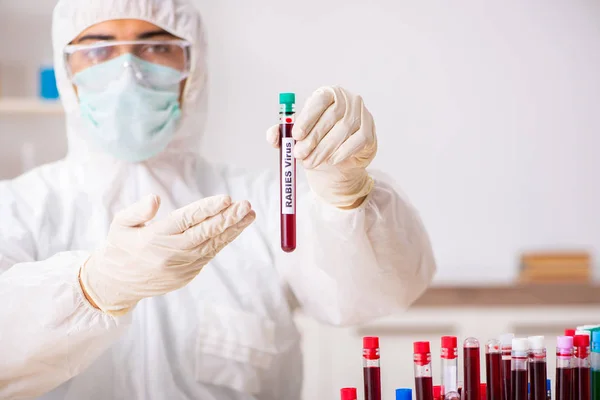 Asistente de laboratorio joven guapo analizando muestras de sangre en el hospital — Foto de Stock