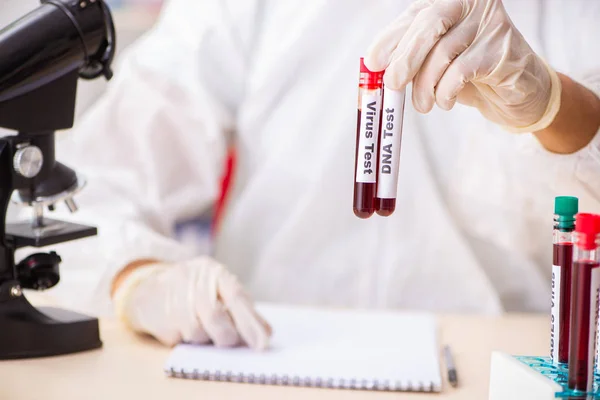 Jovem assistente de laboratório bonito testando amostras de sangue no hospital — Fotografia de Stock
