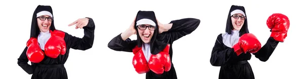 Nonne mit Boxhandschuhen isoliert auf weiß — Stockfoto