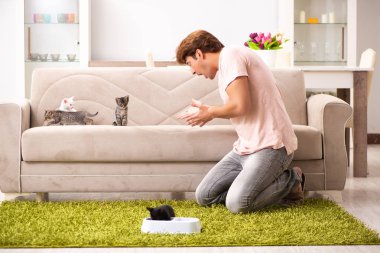 Genç adam evde kedi yavrusuyla oynuyor.