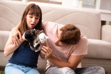 Evde kedi yavrusu oynayan genç bir aile.