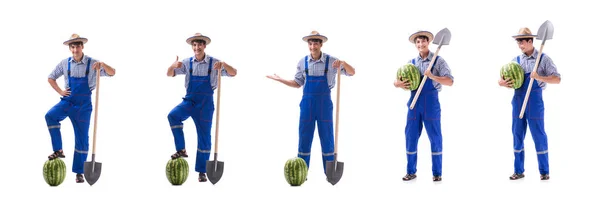 Joven agricultor con sandía aislada sobre blanco —  Fotos de Stock