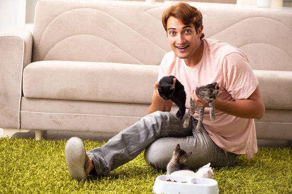 Ung man leker med kattungen hemma — Stockfoto