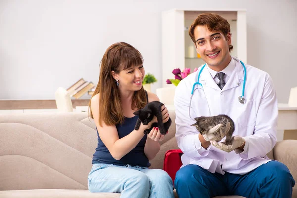 Médico veterinario visitando gatitos enfermos en casa — Foto de Stock