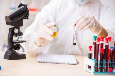 Genç yakışıklı laboratuvar asistanı hastanede kan örnekleri test ediyor. 
