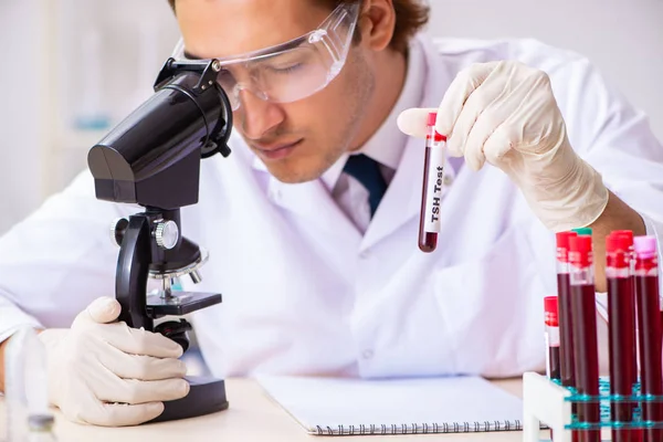 Jovem assistente de laboratório bonito testando amostras de sangue no hospital — Fotografia de Stock