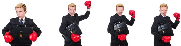 Mladý zaměstnanec s Boxerské rukavice izolované na bílém — Stock fotografie