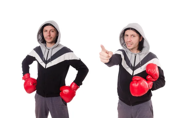 Lustige Boxer isoliert auf dem weißen — Stockfoto