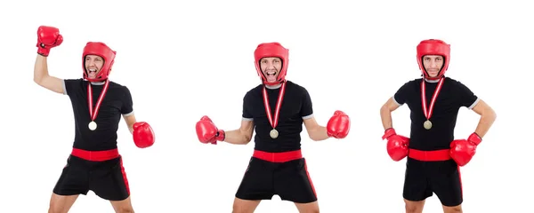 Funny boxer isolated on the white — Stock Photo, Image