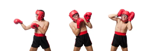 Boxeador divertido aislado en el blanco — Foto de Stock