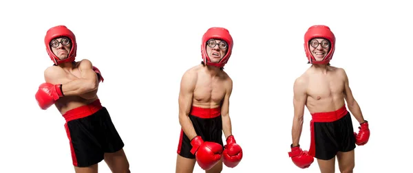 Boxeador divertido aislado en el blanco —  Fotos de Stock