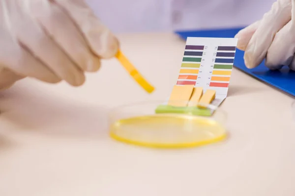 Chemist in the lab checking with ph strips — Stock Photo, Image