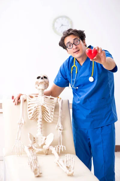 Médico divertido con esqueleto en el hospital —  Fotos de Stock