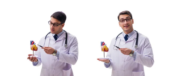 De jonge arts met hartvorm geïsoleerd op wit — Stockfoto