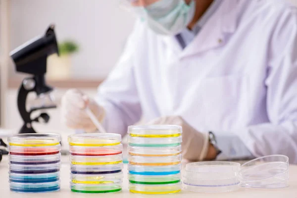 Young chemist working in the lab — Stock Photo, Image