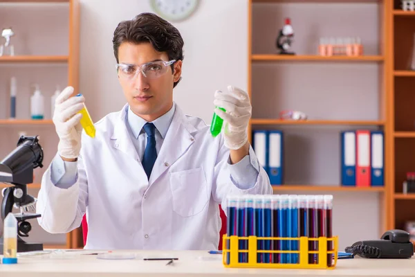 Biokimiawan tampan bekerja di laboratorium — Stok Foto