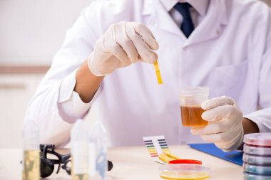 Laboratuvardaki kimyager ph bantlarıyla kontrol ediyor.