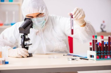 Genç yakışıklı laboratuvar asistanı hastanede kan örnekleri test ediyor. 