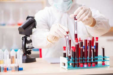 Genç yakışıklı laboratuvar asistanı hastanede kan örnekleri test ediyor. 