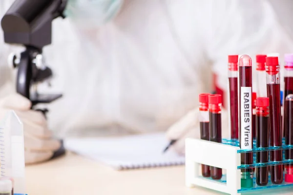 Asistente de laboratorio joven guapo analizando muestras de sangre en el hospital — Foto de Stock