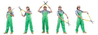 Erkek bahçıvan üzerinde beyaz izole