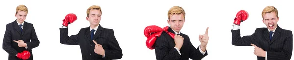 Молодой сотрудник в боксёрских перчатках изолирован на белом — стоковое фото