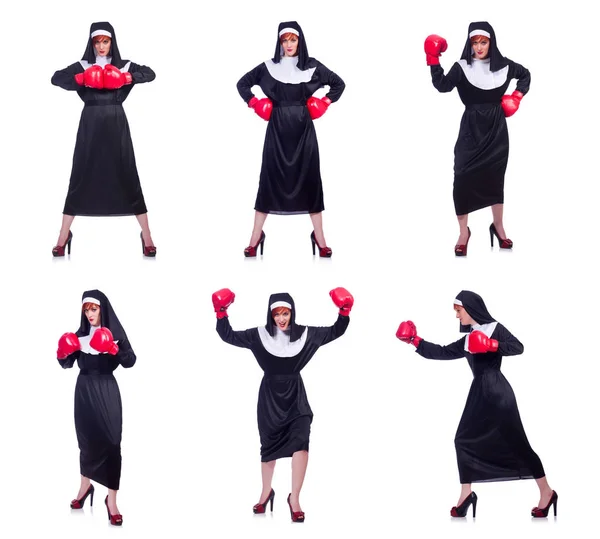 Nonne mit Boxhandschuhen isoliert auf weiß — Stockfoto