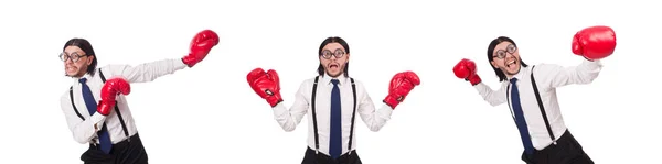 Joven empresario divertido con guantes de boxeo aislados en blanco — Foto de Stock