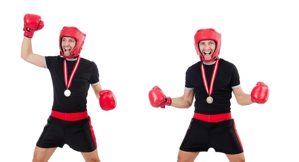 Lustige Boxer isoliert auf dem weißen — Stockfoto