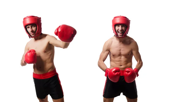 Boxeador divertido aislado en el blanco — Foto de Stock