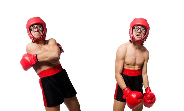 Забавні боксери ізольовані на білому — стокове фото