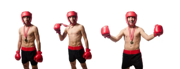 Забавні боксери ізольовані на білому — стокове фото