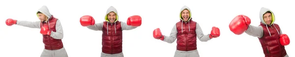 Man wearing boxing gloves isolated on white — Stock Photo, Image