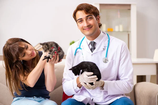 Veterinär läkare besöker sjuka kattungar hemma — Stockfoto