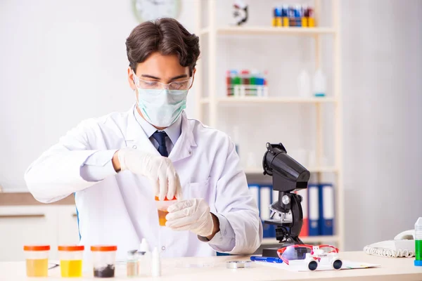 Giovane bel chimico che lavora in laboratorio — Foto Stock