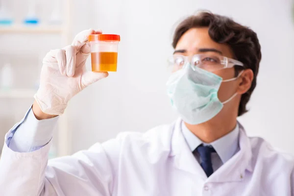 Muda tampan kimiawan bekerja di laboratorium — Stok Foto