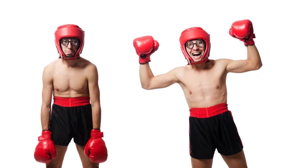 Boxer engraçado isolado no branco — Fotografia de Stock