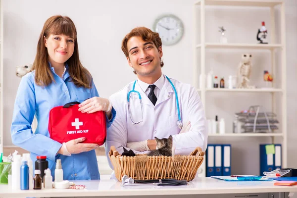 Arzt und Assistentin in Tierklinik untersuchen Kätzchen — Stockfoto