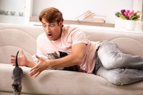 Young man playing with kitten at home — Stock Photo, Image