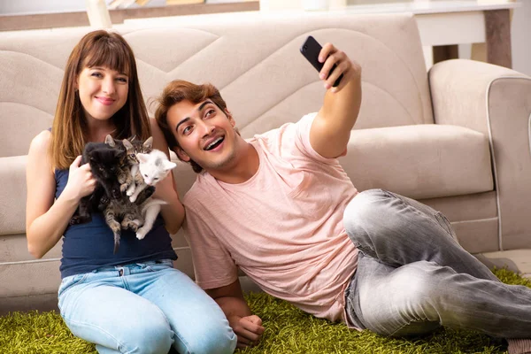 Jonge familie met kitten spelen thuis — Stockfoto