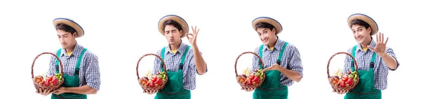 Jeune agriculteur isolé sur fond blanc — Photo