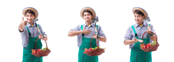 Jovem agricultor isolado no fundo branco — Fotografia de Stock