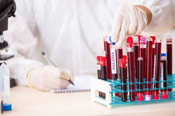 Asistente de laboratorio joven guapo analizando muestras de sangre en el hospital — Foto de Stock